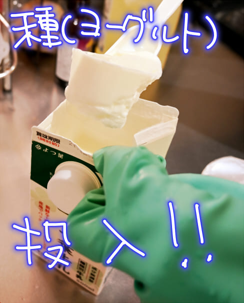 picture of milk & Yogurt 002
