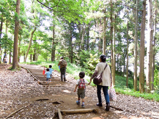 picture of Family hiking