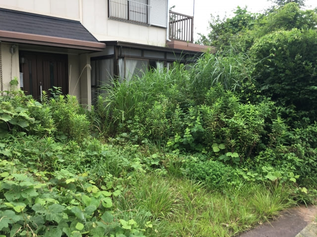 picture of Old house