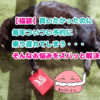 福袋を持って横たわる黒猫　ブログ記事「【福袋】買いたかったのに毎年ついつい予約に乗り遅れてしまう・・・そんなお悩みをズバッと解決！」のアイキャッチ