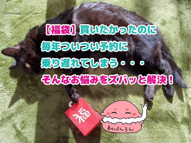 福袋を持って横たわる黒猫　ブログ記事「【福袋】買いたかったのに毎年ついつい予約に乗り遅れてしまう・・・そんなお悩みをズバッと解決！」のアイキャッチ