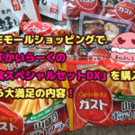 すかいらーくの洋食スペシャルセットDXを並べて紹介　ブログ記事「JREモールショッピングで「すかいらーくの洋食スペシャルセットDX」を購入！もう大満足の内容！」のアイキャッチ