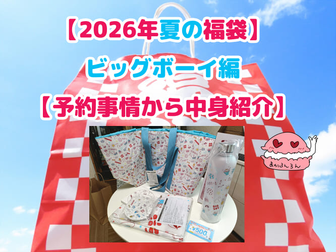 ブログ記事「【2026年夏の福袋】ビッグボーイ編【予約事情から中身紹介】」のアイキャッチ